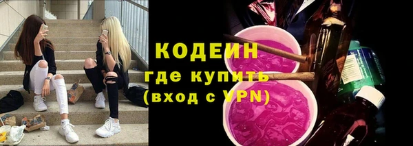 гашик Козельск