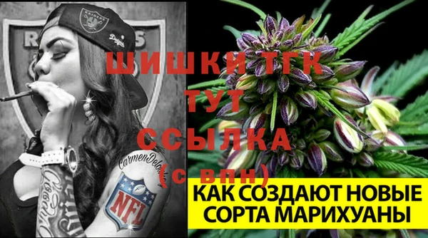 PSILOCYBIN Корсаков