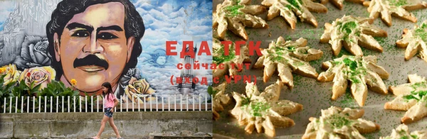 гашик Козельск