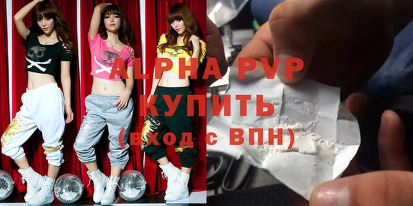 гашик Козельск