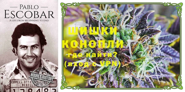 гашик Козельск