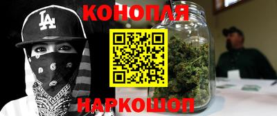 apvp Гусев