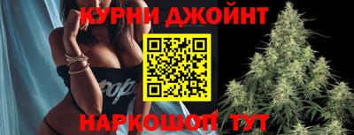 apvp Гусев