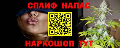 apvp Гусев