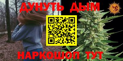 Альфа ПВП Гусиноозёрск