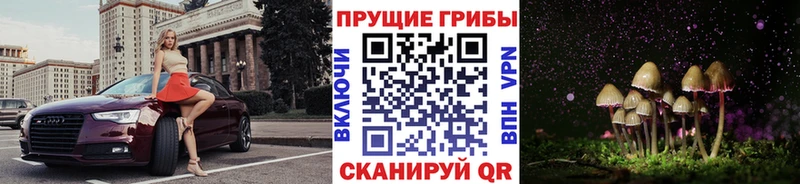 Галлюциногенные грибы Psilocybe  Обь 